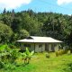 54- Maison MTR, typique de Polynesie 